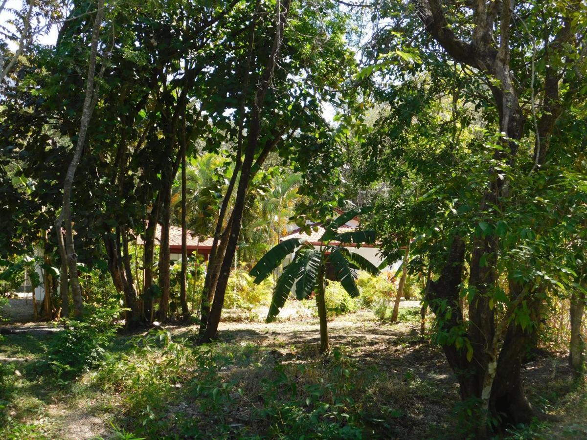 Villasjungle 1 Sámara Exterior foto